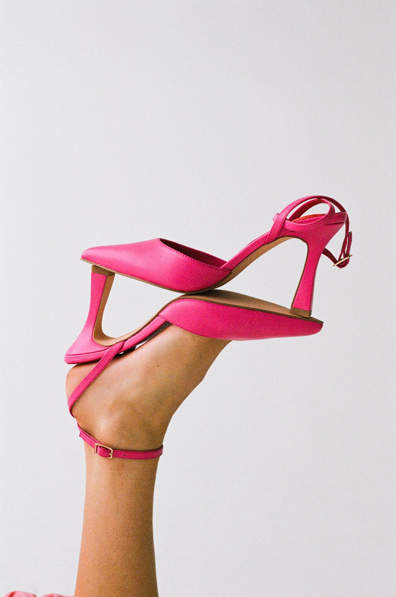 THE ELOISE