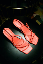 The Bianca