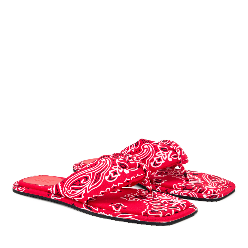 2_835435ea-8cf2-4935-a613-b3a73a3dac10.png