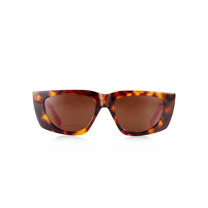 lms-x-pared-brown-tort-1.jpg